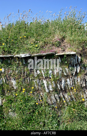 Cornish Hedge di Pietra e Ardesia e Turf, Cornwall, Regno Unito, Europa Foto Stock