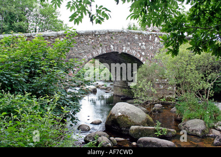 Ponte di pietra sul fiume Dart, Dartmoor Devon, Regno Unito, Europa Foto Stock