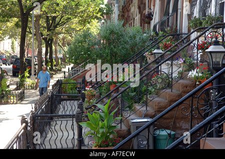 Case di arenaria in Bedford Stuyvesant quartiere di Brooklyn a New York Foto Stock