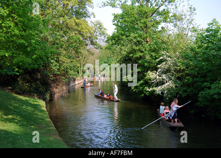 Gli studenti punting sul fiume Cherwell, Oxford, Oxfordshire, England, Regno Unito Foto Stock