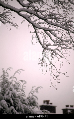 Ancora un giorno di inverni Foto Stock