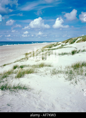 Spiaggia deserta sulla costa ovest, ribe, jylland (Jutland), Danimarca. Foto Stock