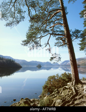 Vista su Derwentwater dal frate della Seat, Near Keswick, Lake District. Foto Stock