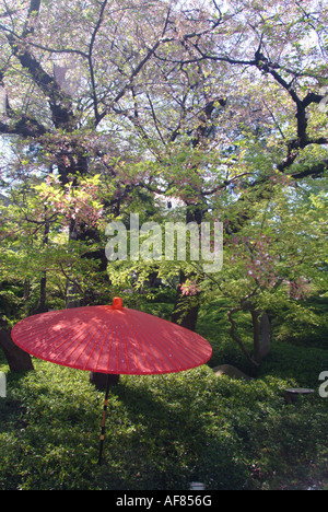 Red Ombrello giapponese in un giardino, Happo-en giardino, Tokyo, Giappone Foto Stock