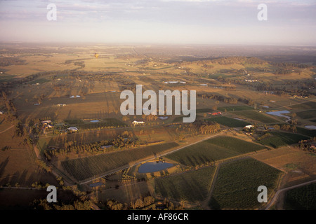 Foto aerea di Hunter Valley vigneti, la Hunter Valley, Nuovo Galles del Sud, Australia Foto Stock
