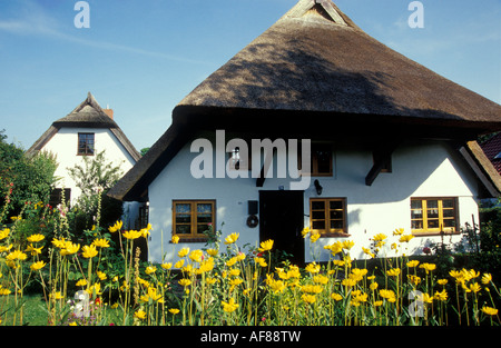 Casa tipica con tetto di paglia, Wustrow, Fischland, Mecklenburg-Pomerania, Germania, Europa Foto Stock