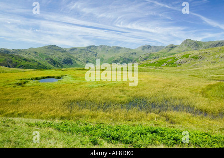 Un piccolo incolto tarn su argento howe, guardando verso la Langdale pikes, Lake District, REGNO UNITO Foto Stock