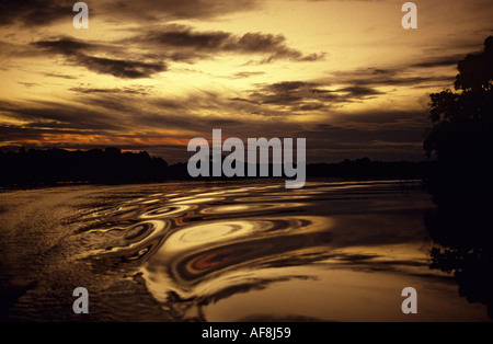 Classic golden sunset da barca riflettendo nel fiume con il profilarsi uno scenario della foresta pluviale nella regione amazzonica del Brasile Foto Stock