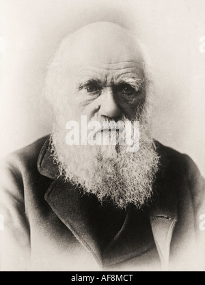 Charles Robert Darwin, 1809 – 1882. Naturalista, geologo e biologo inglese. Visto qui in età avanzata. Foto Stock