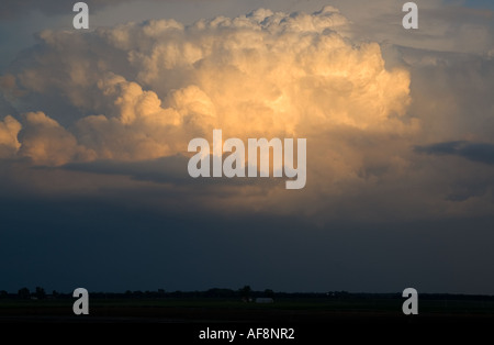 Inizio serata Teste di Tuono lo sviluppo sulle pianure nel nord dell'Illinois Foto Stock