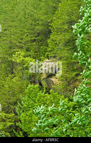 Tallulah Gorge vicino Tallulah Falls GA Foto Stock