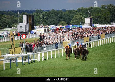 Corsa di cavalli giù dritto al traguardo, Royal Ascot incontro, Ascot Racecourse, Ascot Berkshire, Inghilterra, Regno Unito Foto Stock