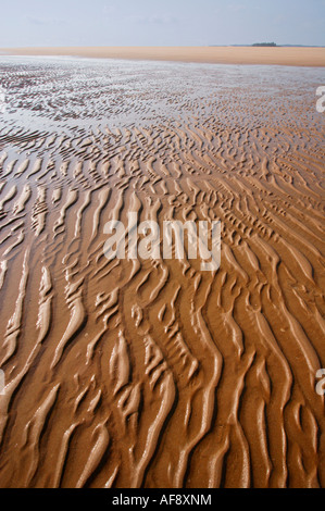 Increspature di sabbia su una spiaggia bagnata Foto Stock