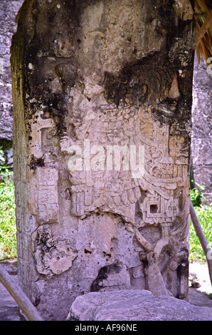 TIKAL GUATEMALA AMERICA CENTRALE agosto alcuni degli intricati intarsi scoperti in questa grande metropoli maya Foto Stock