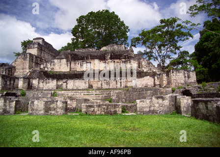 TIKAL GUATEMALA AMERICA CENTRALE Agosto uno dei templi di questa grande città maya Foto Stock