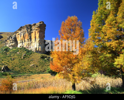 Brandwag rock in the Golden Gate Highlands Parco Nazionale Golden Gate Highlands National Park, Freestate; Sud Africa Foto Stock