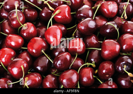 Le ciliege fresche close-up, frame completo Foto Stock