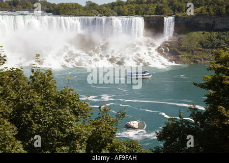 La Domestica della Foschia al Canada del cavallo della calzatura cade in Niagara Falls Ontario Canada Foto Stock