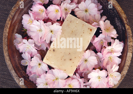 Fiori di Ciliegio in una ciotola e una barra di sapone di sapore, close-up Foto Stock