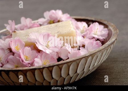 Fiori di Ciliegio in una ciotola e una barra di sapone di sapore, close-up Foto Stock