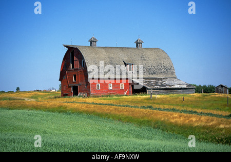 Un rosso antico fienile in legno su un grano abbandonati farm, Saskatchewan, Canada. Foto Stock