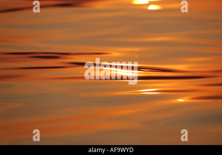 Luce della Sera sul lago Pichola, Udaipur, Rajasthan, Foto Stock