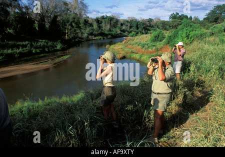 Un gruppo di bird-watching guardando attraverso il binocolo mentre su un deserto escursione sulle rive del fiume Luvuvhu Sud Africa Foto Stock