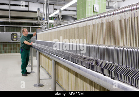 Brauerei C un Veltins GmbH und Co Il birraio e maltster Mike Brill nella cantina del filtro nei tini di filtrazione Foto Stock