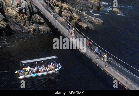 Sospensione ponte sul fiume tempeste di bocca al Tsitsikamma National Park Garden Route del Sud Africa Foto Stock