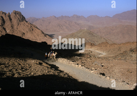Egitto Sint Katherine, nel deserto del Sinai, turistico seduto sul cammello a piedi alla cima del monte Sinai Foto Stock