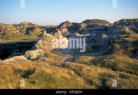 Una vista del robusto ed eroso il paesaggio del deserto del Parco Provinciale dei Dinosauri, Alberta, Canada. Foto Stock