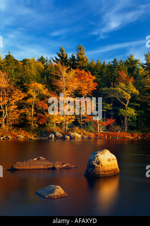 Autunno Mersey River nr Kejimkujik Parco Nazionale di Nova Scotia Canada Foto Stock