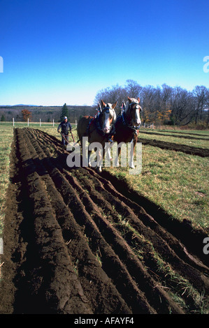 Contadino con team di cavallo tirando aratro attraverso i campi Foto Stock