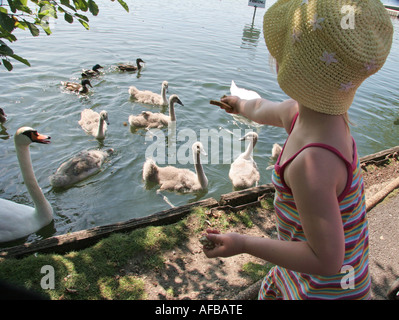 Ragazza giovane alimentando il pane alle anatre nel laghetto del parco Foto Stock