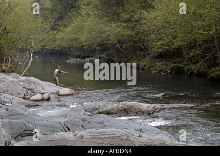 Pescatore a mosca nel Parco Nazionale di Great Smoky Mountains Foto Stock