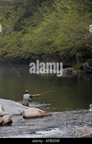 Pescatore a mosca nel Parco Nazionale di Great Smoky Mountains Foto Stock