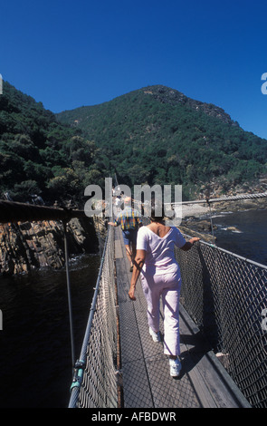 Sospensione ponte sul fiume tempeste di bocca al Tsitsikamma National Park Garden Route del Sud Africa Foto Stock