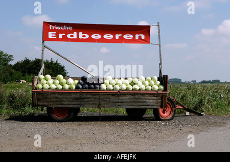 Il rimorchio è caricato con cavoli fragole freschezza si erge sulla palina Foto Stock