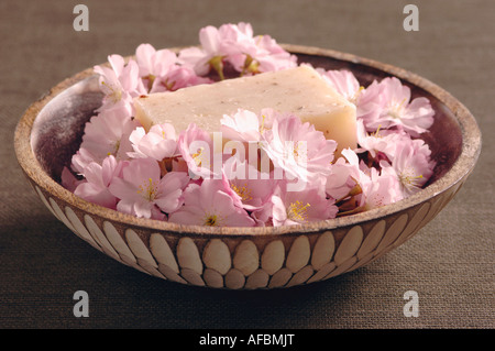 Fiori di Ciliegio in una ciotola e una barra di sapone di sapore, close-up Foto Stock