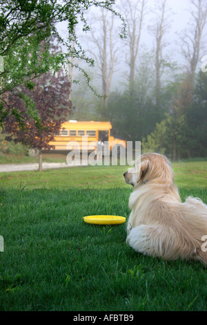 Cane guardando bambino salire su un autobus Foto Stock