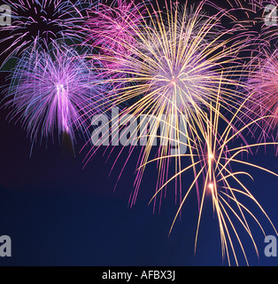 Fuochi d'artificio colorati contro il cielo di sera Foto Stock