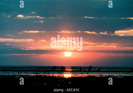Tramonto africano sopra il lago Foto Stock
