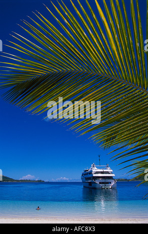 Palm & MV Mystique Princess, Blue Lagoon Cruise Il Nanuya Lailai Island, Yasawas, Isole Figi Foto Stock