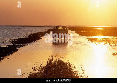 Incrocio diga Mando al tramonto, il Wadden Sea a bassa marea, vicino Mando, Danimarca Foto Stock