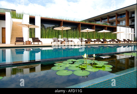 Raffreddare il decor Asiatico presso un albergo tailandese. Un cluster di acqua lotus pastiglie e ombrelloni nella parte anteriore di un resort piscina. Foto Stock