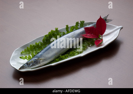 Il cibo giapponese grill barbecue Saury pacifico Pesce Foto Stock