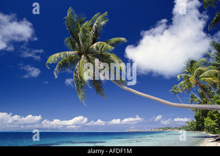 Tropical Beach, Bora Bora, Tahiti, Polinesia Francese Foto Stock
