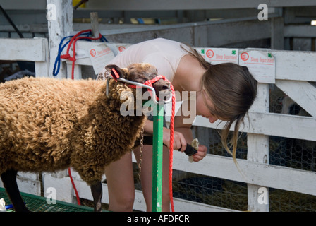 Ragazza il deposito di zoccoli di una pecora in preparazione per 4H Club mostra zootecnica presso la Columbia County Fair in Chatham NY Foto Stock