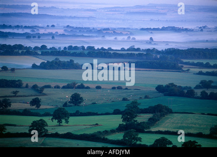 L'Inghilterra del verde e ridente paese di un infinito mosaico di campi nel Blackmoor vale all'alba nr bambino Okeford, Dorset, Inghilterra Foto Stock