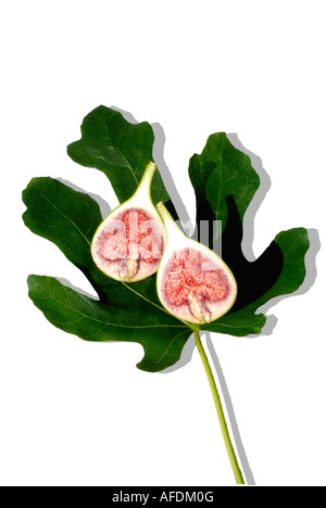 Latino, Ficus carica. Comune, comune Fig Tree, Marrone Turchia Fig. Un frutto- fig - tagliato a metà contro uno sfondo di una foglia Foto Stock